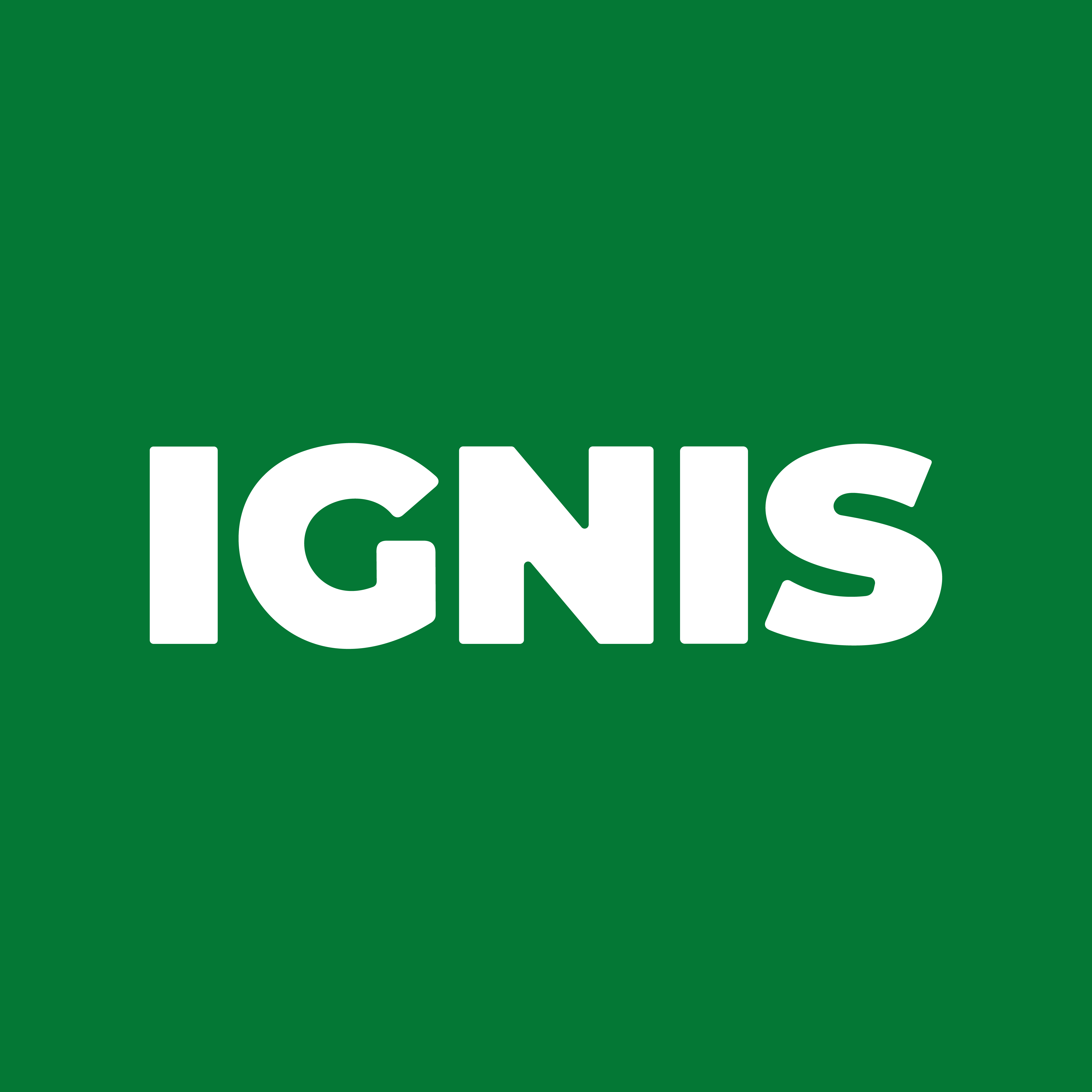 ignis-marketing-creativo-s